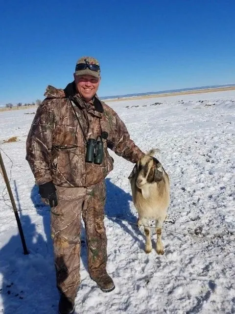 A man in camouflage standing next to a goat.