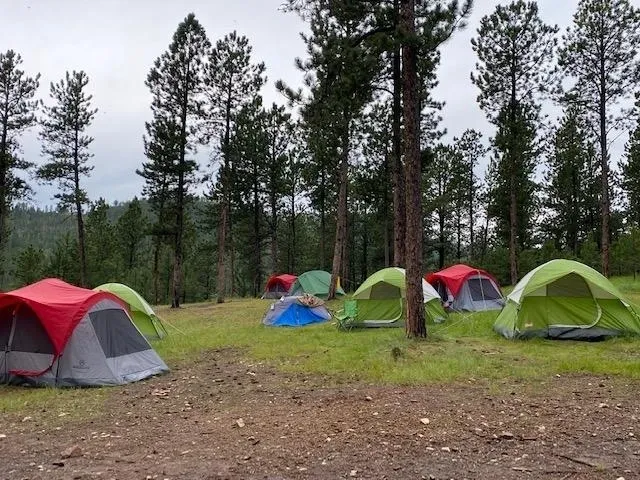 A group of tents in the woods on a cloudy day.