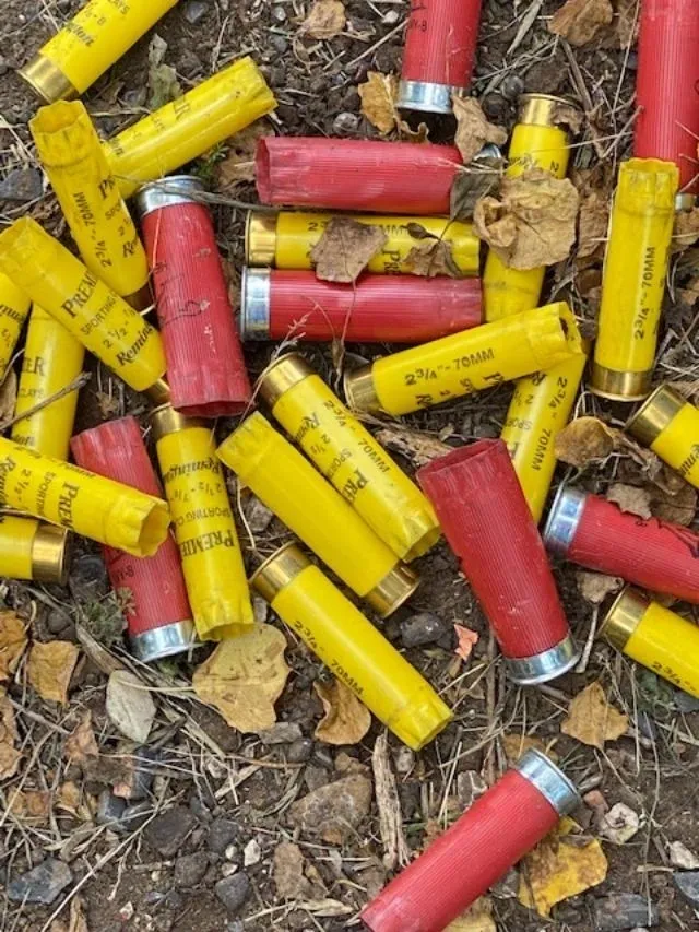 A pile of shotgun shells sitting on top of the ground.