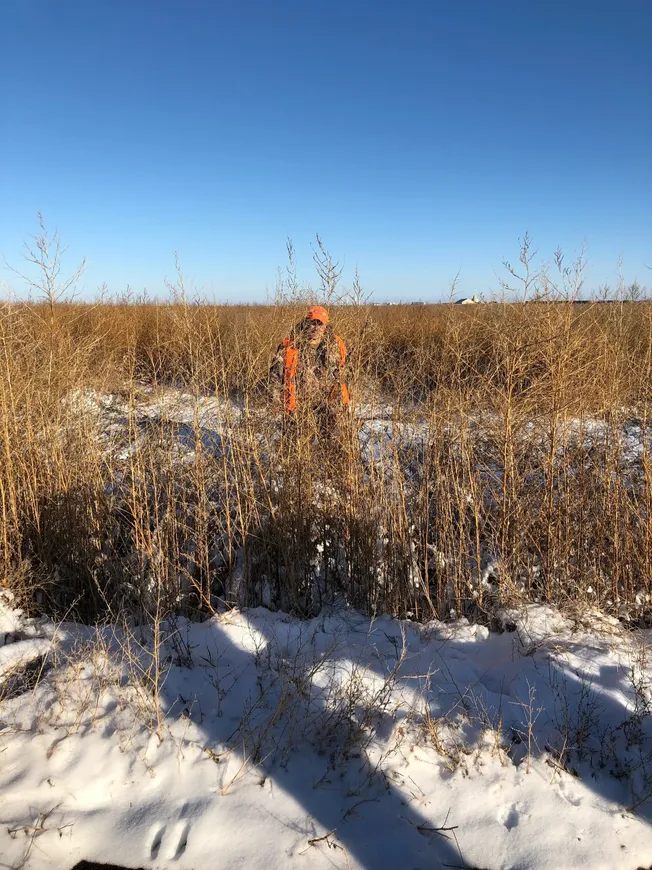 A fire hydrant in the middle of a field.