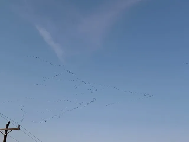 A plane flying in the sky with smoke coming from it.