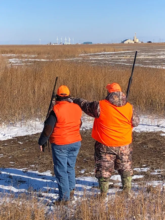Two people in orange vests holding guns and walking through a field.