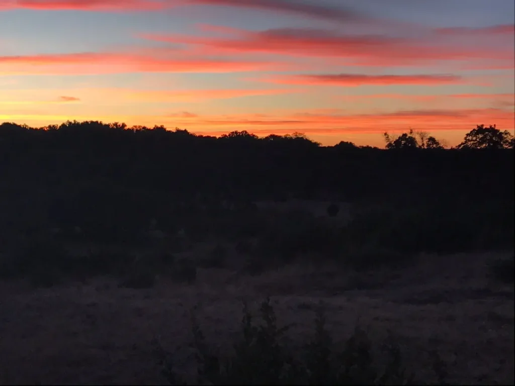 A sunset with the sun setting over some trees