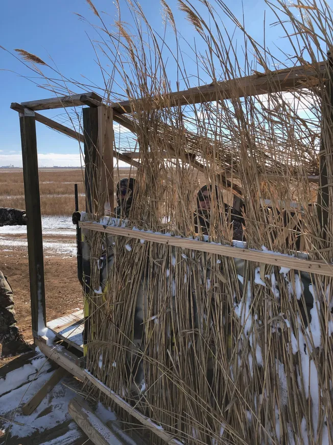 A man standing next to tall grass in the snow.