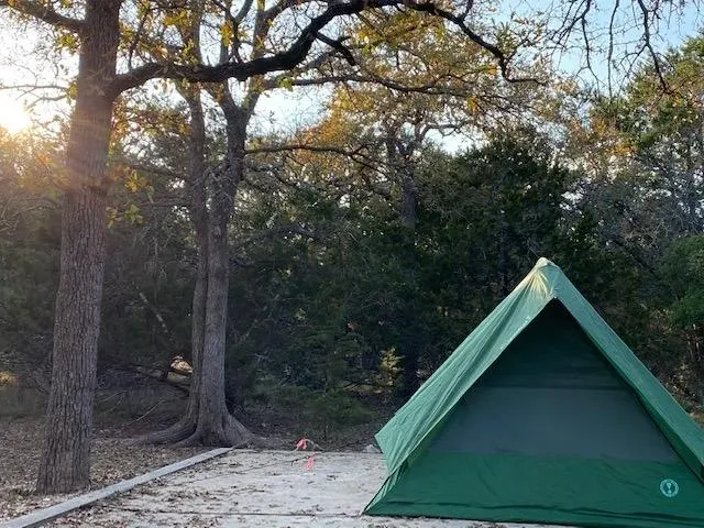 A green tent in the middle of a forest.