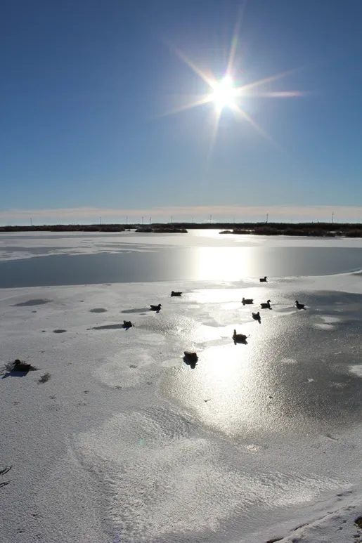 A view of the sun shining over some ice.