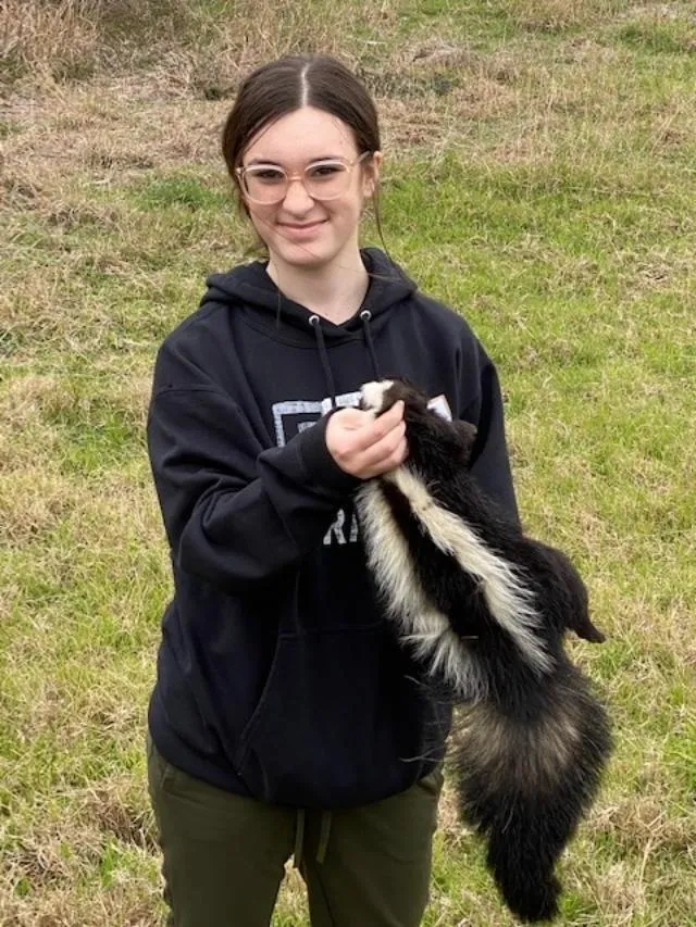 A girl holding a skunk in her hands.