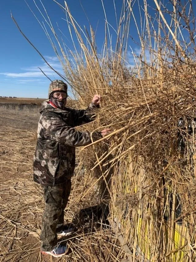 A man in camouflage standing next to tall grass.