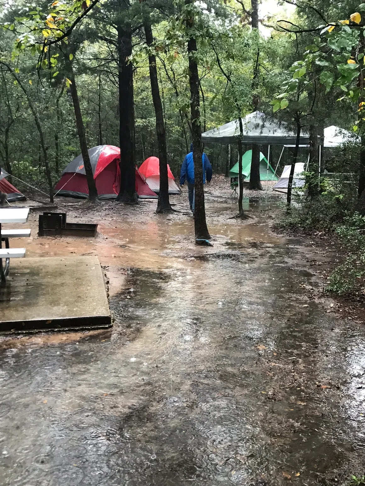 A group of tents in the woods with tables and chairs.
