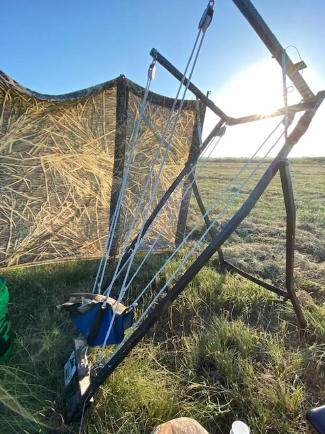 A kite is being flown in the field.