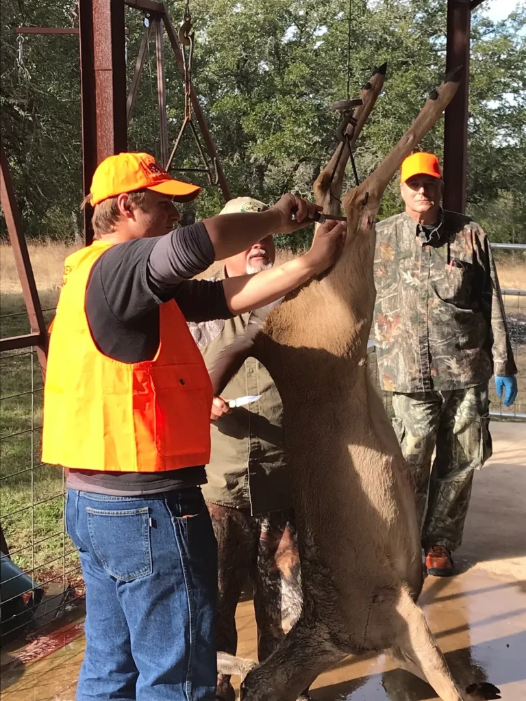 A man in an orange vest is holding on to a deer