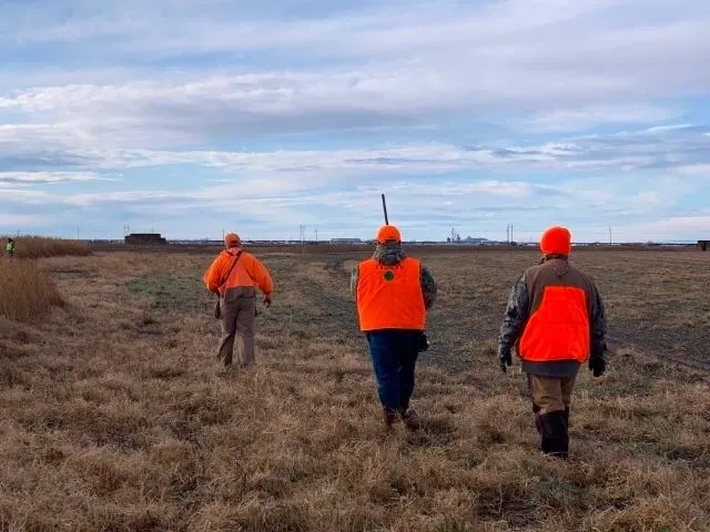 Three people in orange vests walking through a field.