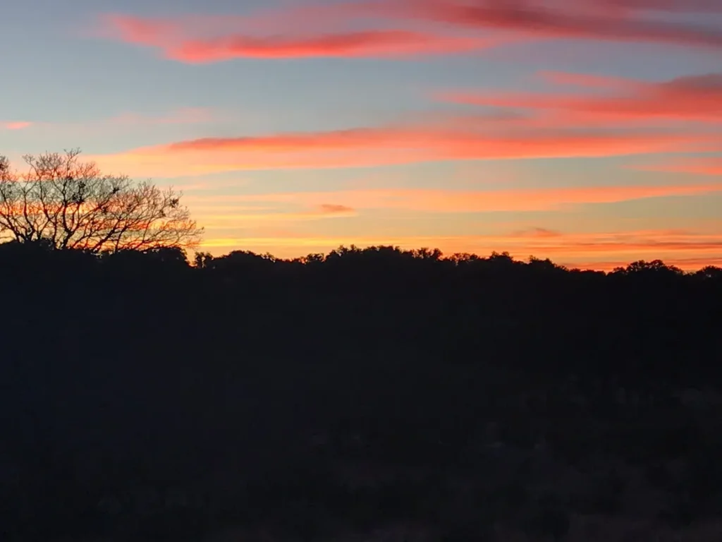 A sunset with trees in the foreground and clouds in the background.