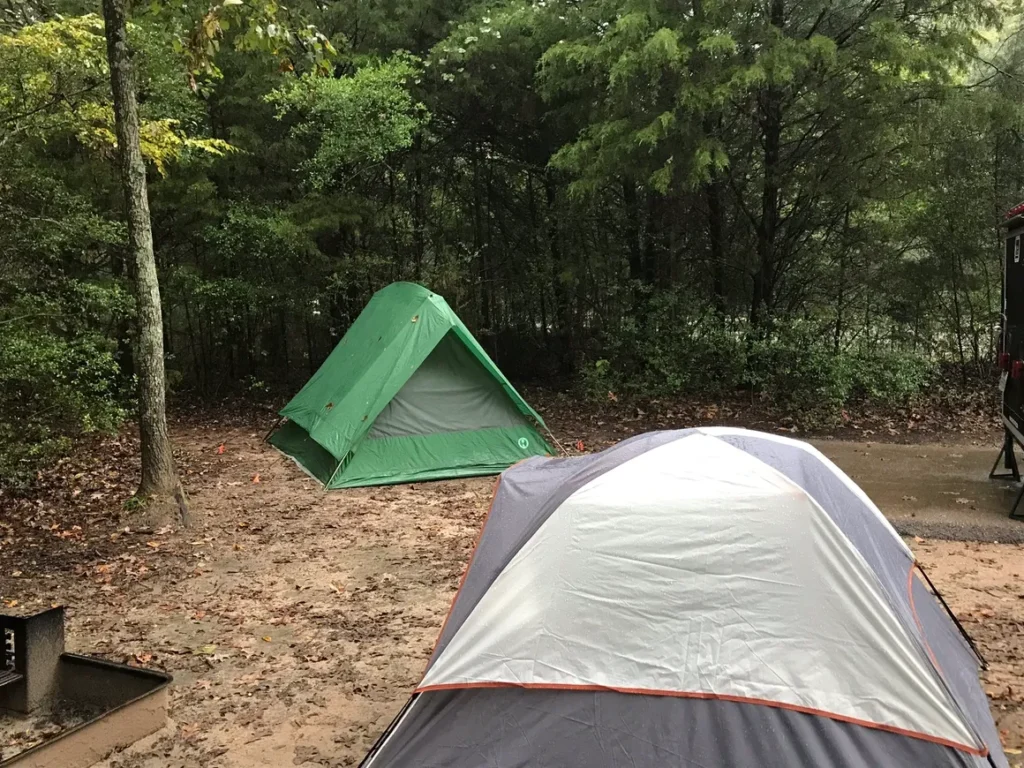 A tent is pitched in the woods near some trees.