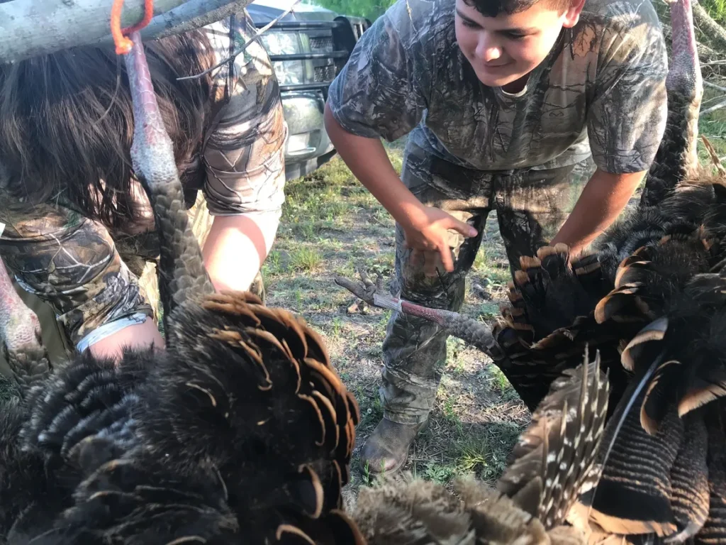 A group of people standing around turkeys.