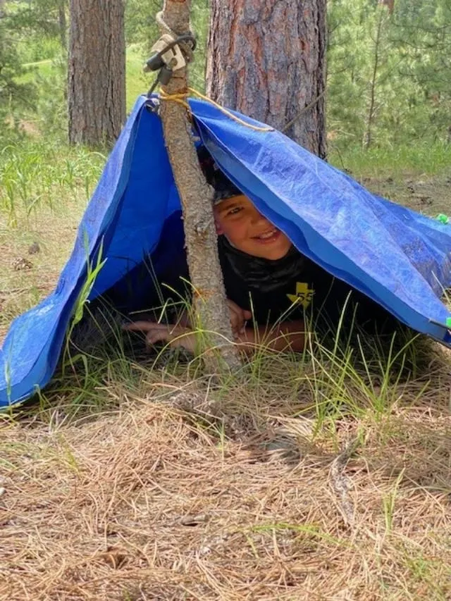 A person hiding under a tarp in the woods.