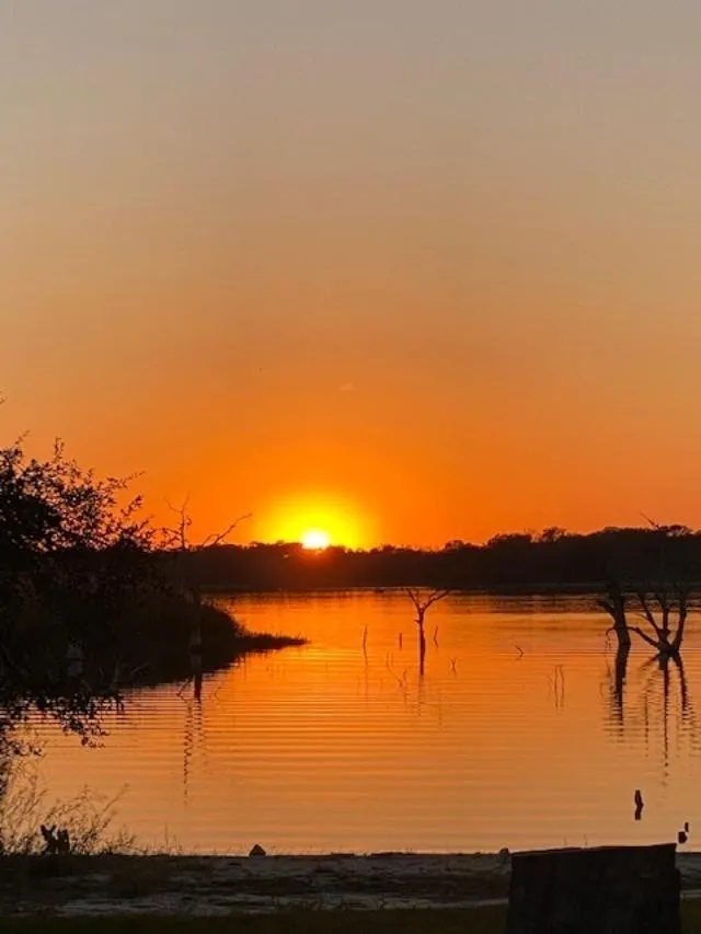 A sunset over the water with trees in the foreground.