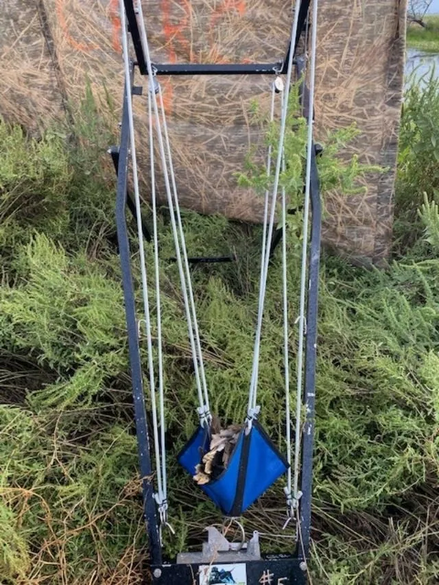 A swing set in the middle of some bushes