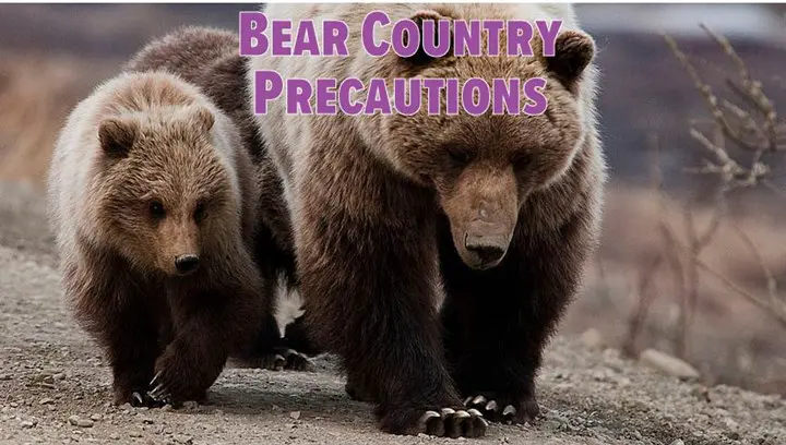 Two bears walking on a dirt road with the words " bear country precautions ".