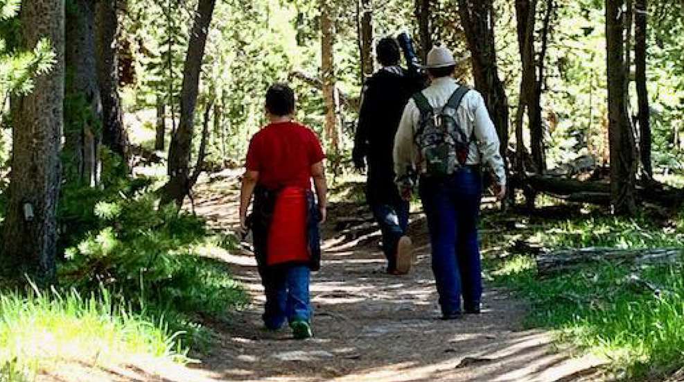 A group of people walking on a trail in the woods.