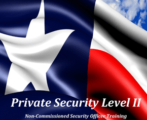 Texas flag with 'Private Security Level' text.