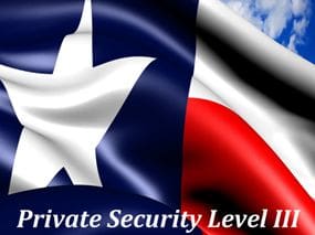 2 - Private Security Level III image f-f8b713f 2 - Private Security Level III image f-f8b713f